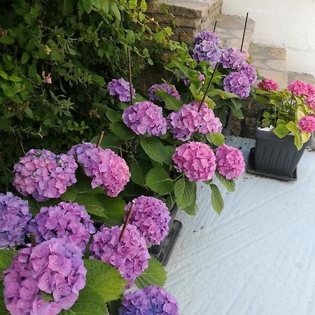 Scorpios Hotel & Suites Samos Town Zewnętrze zdjęcie
