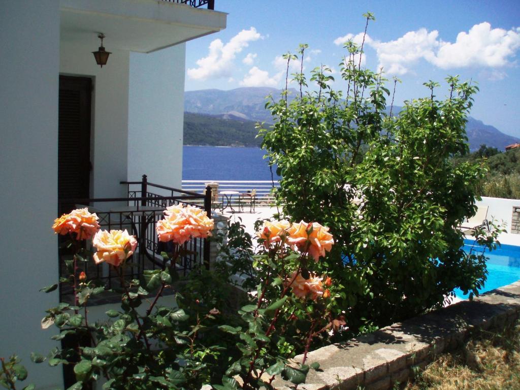 Scorpios Hotel & Suites Samos Town Pokój zdjęcie
