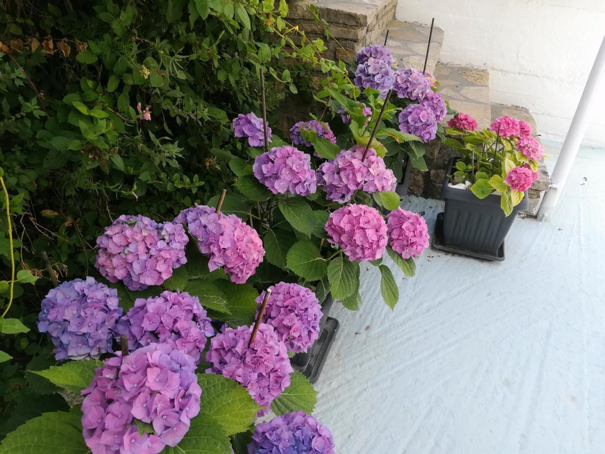 Scorpios Hotel & Suites Samos Town Zewnętrze zdjęcie