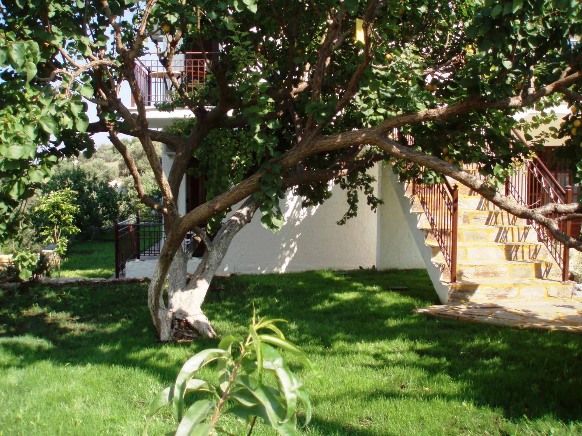 Scorpios Hotel & Suites Samos Town Zewnętrze zdjęcie